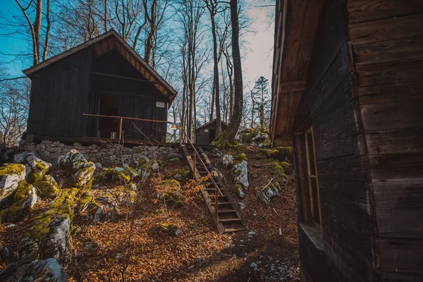 Old Army Barracks Cottages Hiding Depths Forest Kocevje Kocevski Rog — Stock Photo, Image