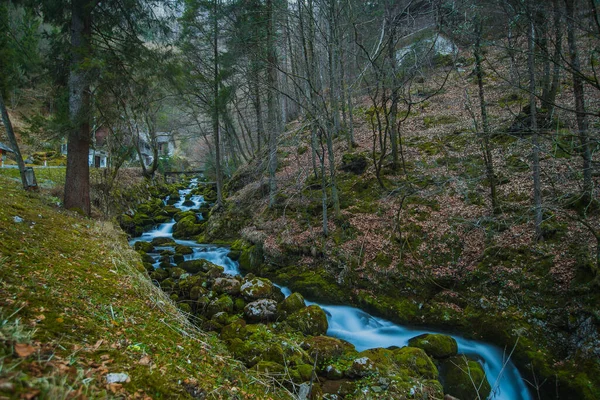 Кропарниковий Потік Довгозоровому Фотознімку Видимий Жвавий Потік Пливе Моху Вкритий — стокове фото