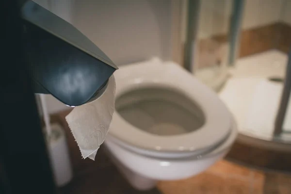 Toiletpapier Rolt Een Hanger Een Hotelbadkamer Zichtbaar Toilet Spoelknop Achtergrond — Stockfoto