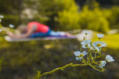 Ön planda odak noktasında beyaz sarı bir çiçekle arka planda yoga yapan bir kadın resmi. Yoga eğitimi etrafında boşluk kopyala.