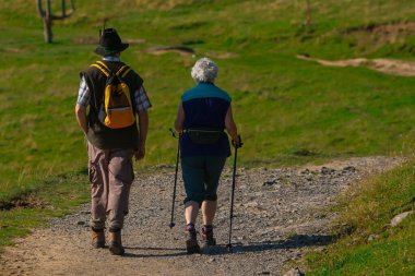 Velika Planina Platosu 'ndan bir yaz günü arka tarafta yürüyüş yapan yaşlı bir çift görülüyor. Yaşlı çift dağlarda yürüyüş yapıyor..