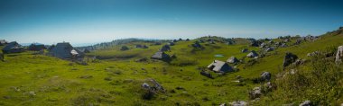 Slovenya 'nın Velika planina platosunda açık mavi gökyüzü ile güneşli bir yaz gününde tipik ahşap evler veya kulübelerden oluşan geniş bir manzara..