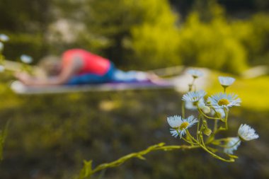 Ön planda odak noktasında beyaz sarı bir çiçekle arka planda yoga yapan bir kadın resmi. Yoga eğitimi etrafında boşluk kopyala.