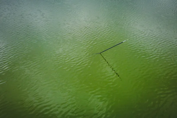 Buzunarul Pescuit Sau Stâlpul Ieșind Dintr Suprafață Lac Culoare Verde — Fotografie, imagine de stoc