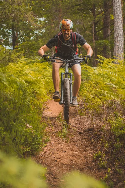 Man Rijden Bergafwaarts Met Een Mountainbike Richting Camera Een Weelderige — Stockfoto