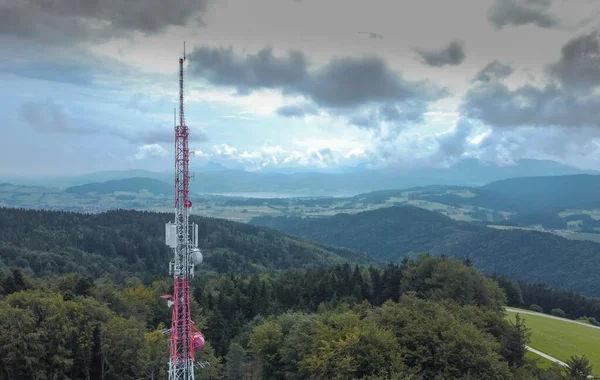 Duży Maszt Antenowy Wzmacniacza Środku Lasu Lub Natury Kontrowersyjna Tehnologia — Zdjęcie stockowe