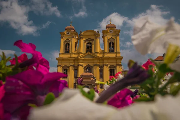 Saint George Kathedraal Het Centrum Van Timisoara Roemenië Ook Bekend — Stockfoto