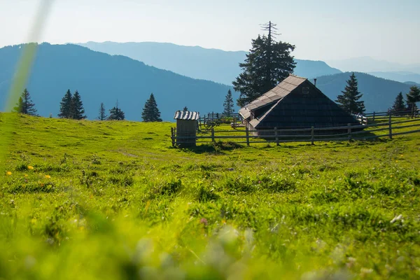 Panorama Typowych Drewnianych Domów Lub Domków Płaskowyżu Velika Planina Słowenii — Zdjęcie stockowe