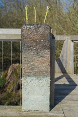 Farklı toprak katmanlarının görüntüsü. Eğitimsel bir kamu gösterisinde zemin katmanları, zeminde görünen farklı toprak yapıları ile.