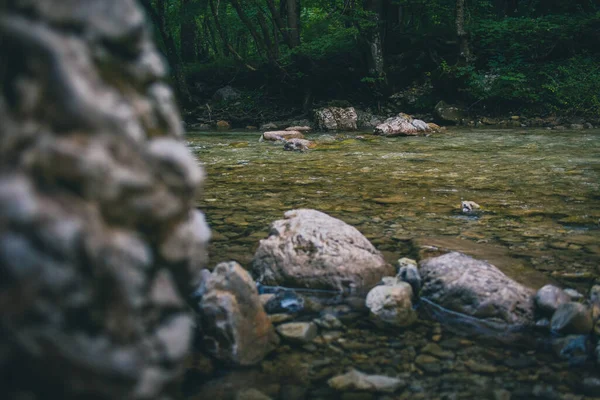 Tranquilo Entorno Río Con Algunas Piedras Río Que Sobresalen Superficie — Foto de Stock