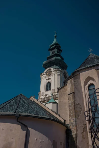 Groda Perspektiv Berömda Nitra Slott Ett Kulturellt Monument Nitra Stad — Stockfoto