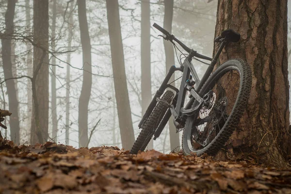 Moderna Bicicleta Montaña Negra Descansando Inclinada Sobre Árbol Día Niebla — Foto de Stock