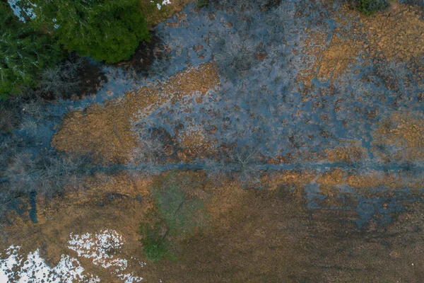 Κάθετη Εναέρια Άποψη Drone Των Masrshes Στη Λίμνη Rakitna Στην — Φωτογραφία Αρχείου