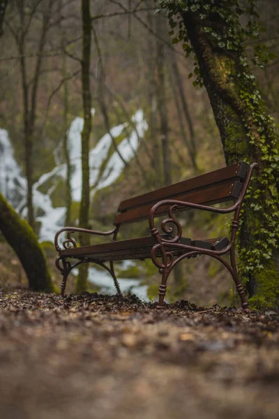 Ensam Brun Bänk Med Metallräcke Och Trä Plankor Skog Höst — Stockfoto