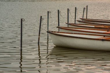 Küçük tekneler bir gölün direğine demirlemişti. Tahta botlar sakin bir suda sırada bekliyor.