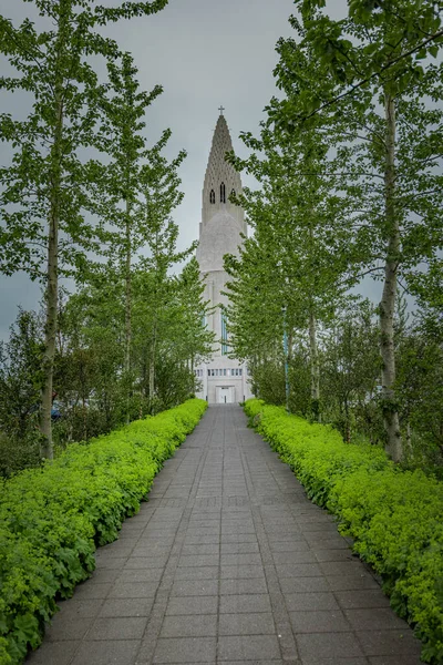 Hallgrimskirkja Luteránský Kostel Uprostřed Reykjavíku Hlavní Město Islandu Vidět Zezadu — Stock fotografie
