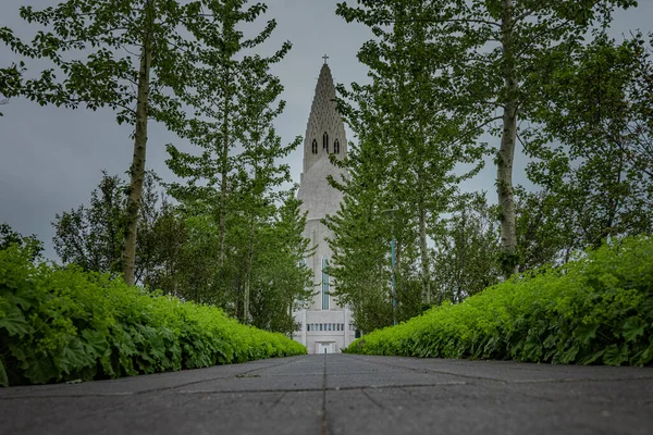 Hallgrimskirkja Luteránský Kostel Uprostřed Reykjavíku Hlavní Město Islandu Vidět Zezadu — Stock fotografie