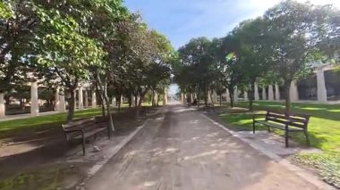 Valencia parkındaki güneşli bir patika, yüksek palmiye ağaçları ve yemyeşil çimlerle kaplı modern bir binaya çıkıyor. Sokak lambaları ve banklar, açık mavi gökyüzünün altındaki sahneyi aydınlatıyor..