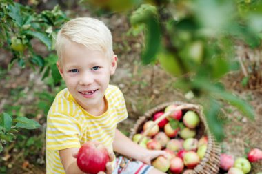 çocuk ve bahçede elma