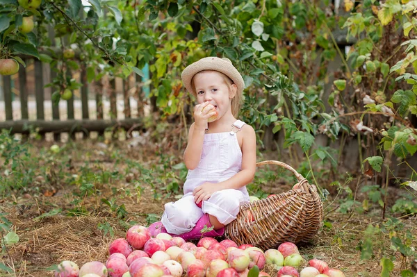 A little girl eating an apple in the garden — Stock Photo, Image