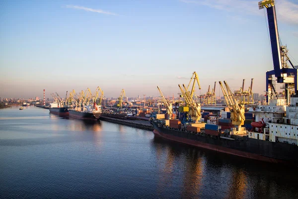 Containerterminal im Seehafen — Stockfoto