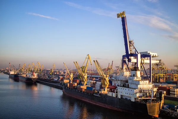 Terminal container del porto marittimo — Foto Stock