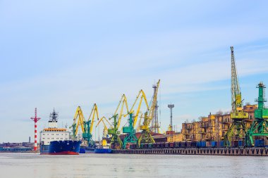 Mavi yüzen çimen üzerinde araçtır. Kargo liman. Vinçler.