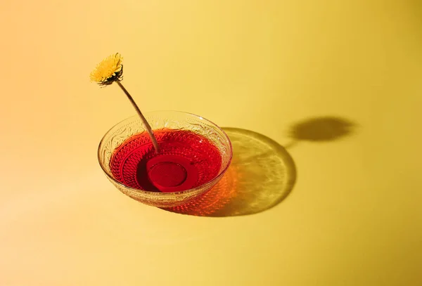 Dandelion on bowl with red liquid on yellow background. Retro floral concept.