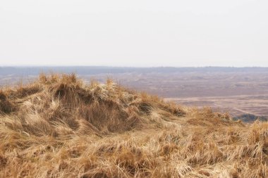 Danimarka 'daki Bulbjerg' den manzara ve kum tepelerine bakın                 
