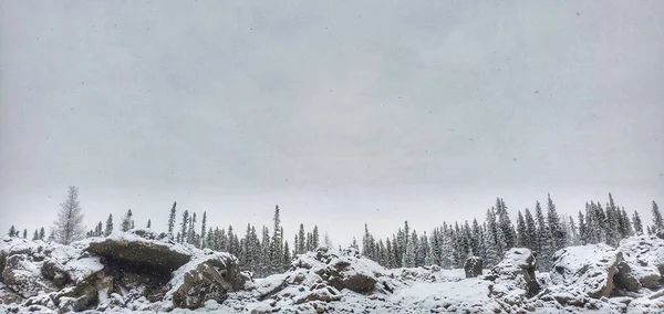 Φύση Στην Βόρεια Αλμπέρτα Στον Καναδά Καθαρός Ουρανός Στη Μέση — Φωτογραφία Αρχείου
