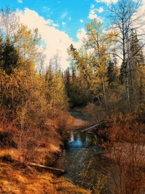 Doğanın çıplak gözle çarpıştığı yer.