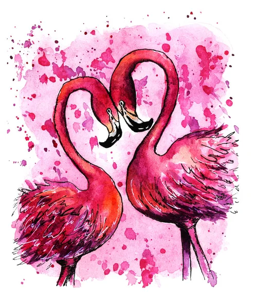 Quelques Flamants Roses Dessinés Main Croquis Illustration Aquarelle — Photo