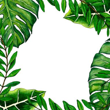 4030 Yeşil Tropikal Yaprak Çerçeve Suluboya El Yazısı