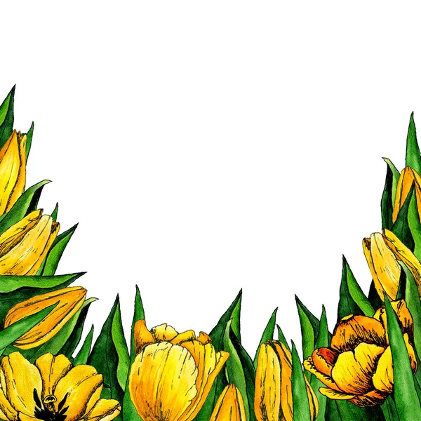 4036 Gelbe Tulpenblumen Aquarell Rahmen Bordüre Postkarte — Stockfoto