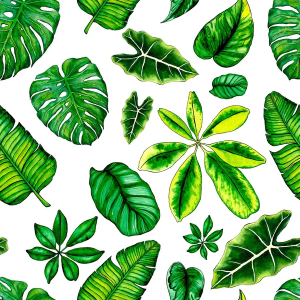5013 Folhas Tropicais Aquarela Desenhado Mão Sem Costura Padrão Papel — Fotografia de Stock
