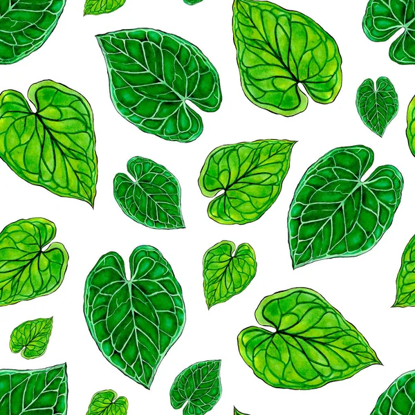 5017 Anthurium Isolated Leaves Watercolor Hand Drawn Seamless Pattern Wallpaper — Stock Photo, Image