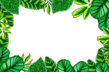 5022 dikdörtgen yeşil suluboya yaprakları