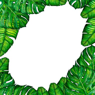 5026 Davetiye kartı ve tropik bitkilerin yeşil yaprakları 