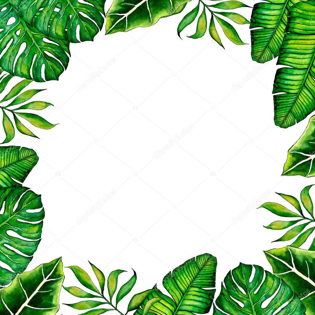 5021 Square frame of watercolor tropical leaves