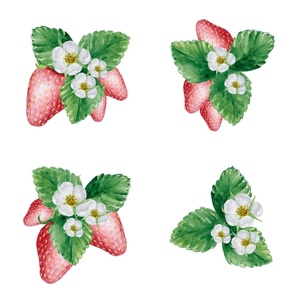 5045 Erdbeer Elemente Aquarell Illustration — Stockfoto