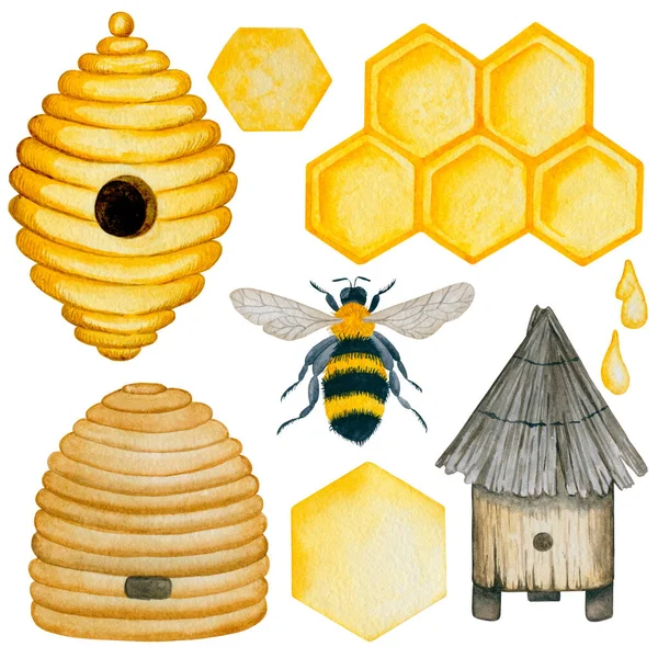 6001 Aquarell Bienenstöcke Und Bienencliparts Illustration — Stockfoto