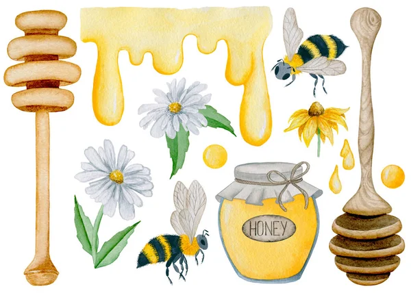 6002 Honig Und Bienen Aquarellelemente Cliparts Illustration — Stockfoto