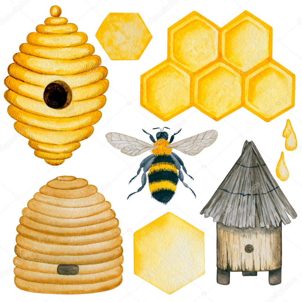 6001 Watercolor beehives and bee clipart, illustration