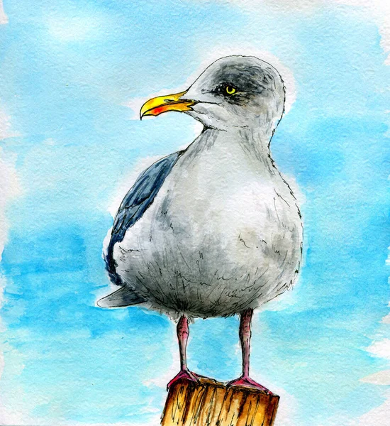 7056 Mouette Sur Peir Paysage Marin Aquarelle Illustration Dessinée Main — Photo