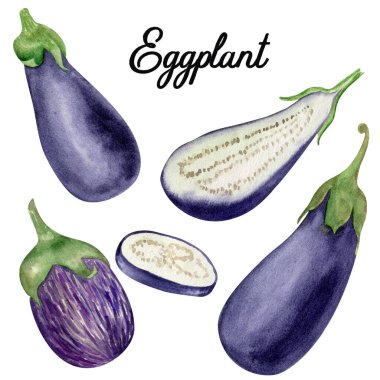 Patlıcan sebzeli çizim seti. Suluboya gıda çizimi.