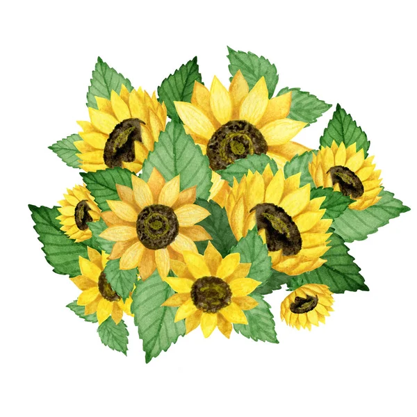 Sonnenblumen Aquarell Illustration Handgezeichnete Florale Druckkunst Cartoondruck — Stockfoto