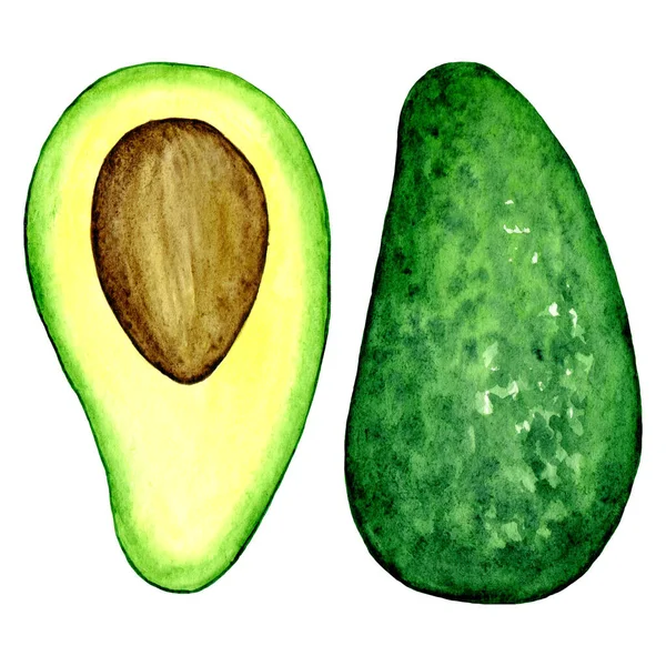 Avocat Fruit Dessiné Main Aquarelle Illustration Impression Alimentaire Pour Cuisine — Photo