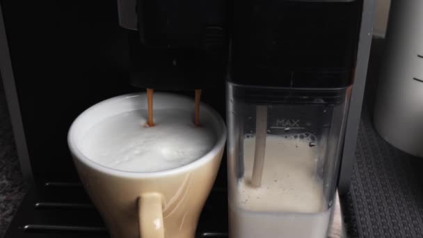 Kahve Makinesi Kapuçino — Stok video