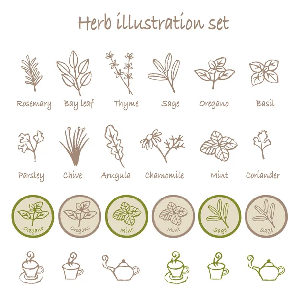 Різний набір ілюстрацій трави — стоковий вектор