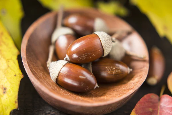 Acorns en Herfstbladeren — Stockfoto